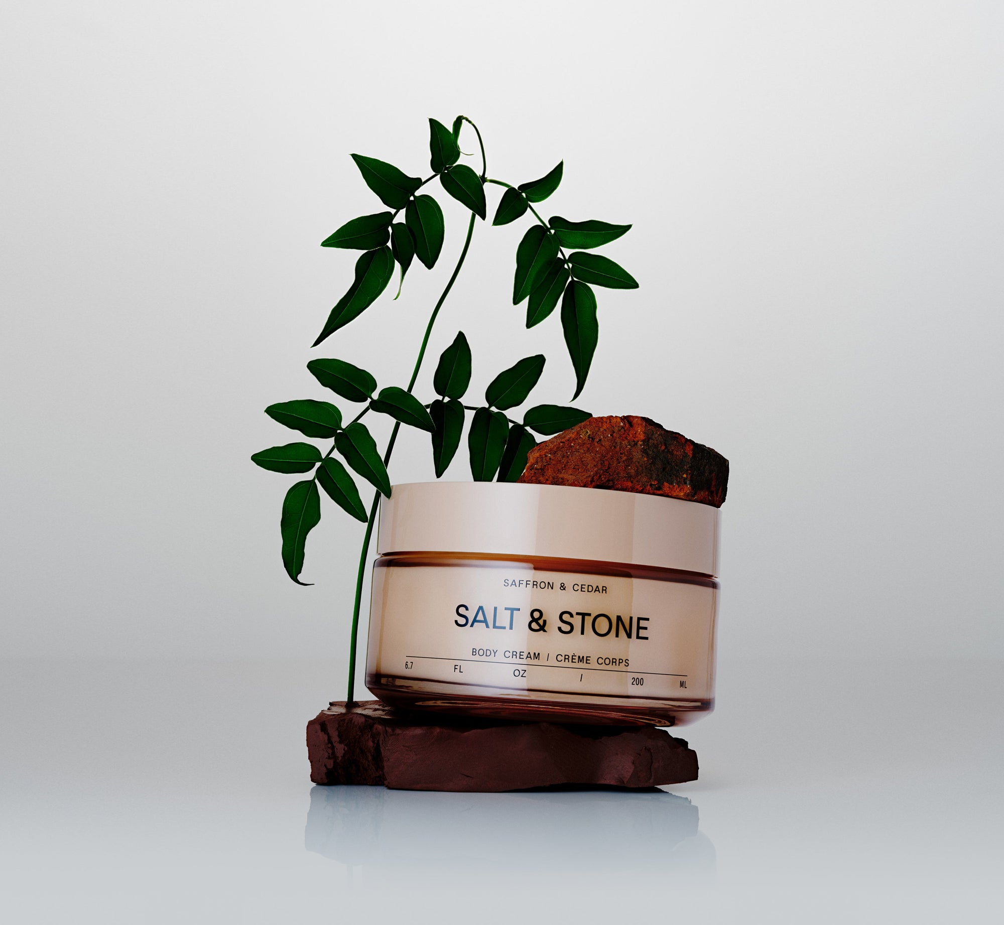 Body Cream (Review)